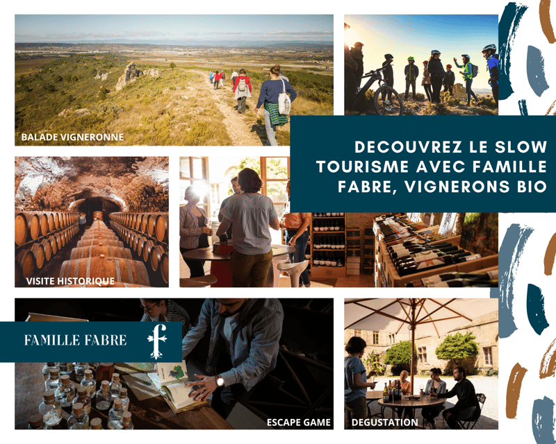 Château de Luc: Unique visit and wine tasting - Who Should Book Château de Luc, and Who Might Skip