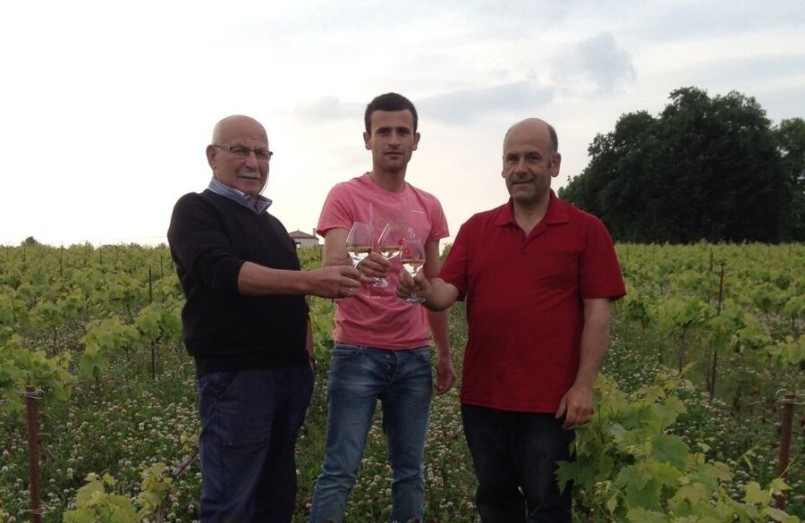 Château du Bois-Huaut: Cellar Tour and Wine Tasting Class - Key things to know before you go