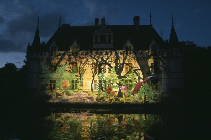 Château of Azay-le-Rideau Entry Ticket - Azay-le-Rideau’s island setting, UNESCO protection, and why the views matter