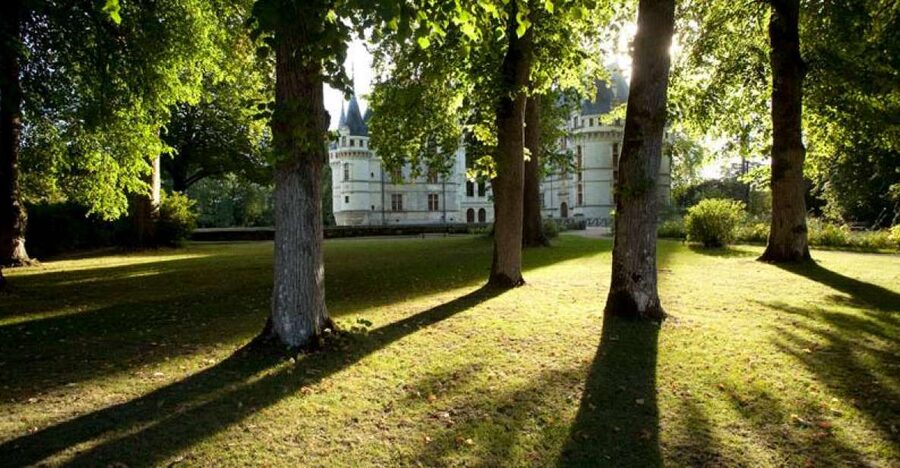 Château of Azay-le-Rideau Entry Ticket - The Renaissance François I period: ornamentation, gothic motifs, and facades over the water