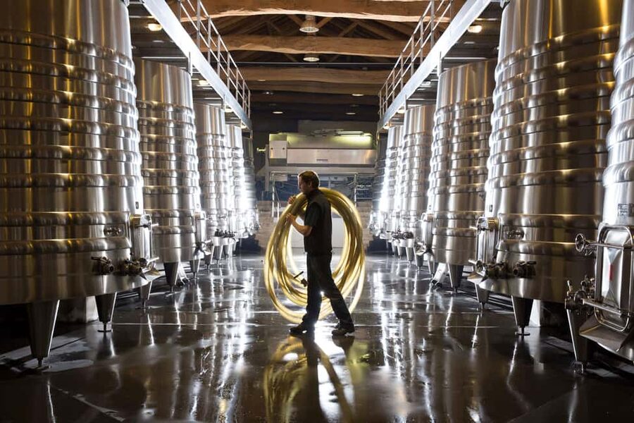 Château Olivier: One Hour Vineyard Tour with Wine Tasting - Key highlights you’ll care about