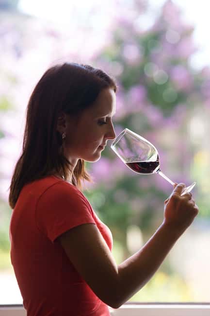 Château Olivier: One Hour Vineyard Tour with Wine Tasting - Languages, pace, and the kind of group fit
