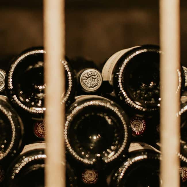 Châteauneuf-du-Pape: tour/tasting in the heart of Domaine Tour St Michel - The 30-minute cellar tour: how the work gets organized