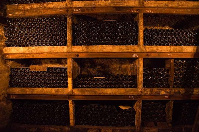 Chateauneuf du Pape wine tour - Meeting in Avignon and the pace of a 9:30 am start