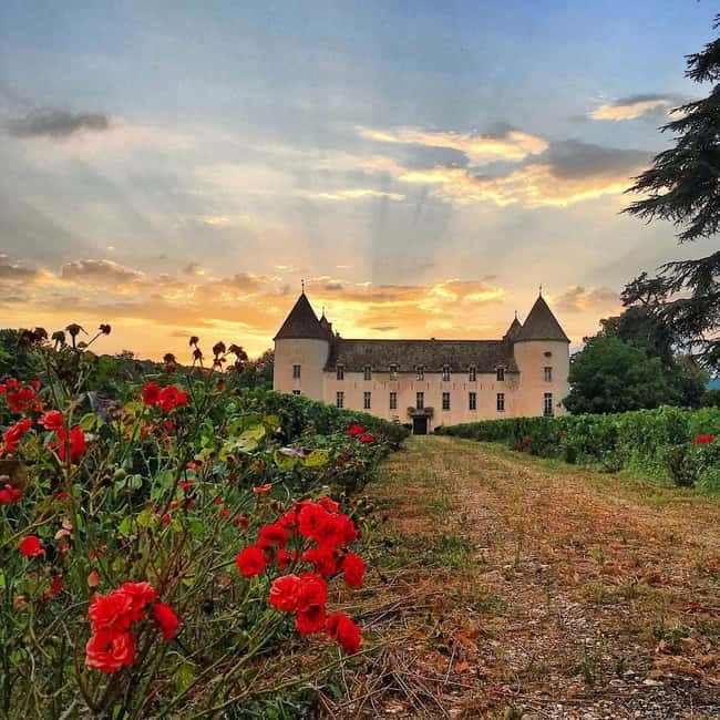 Check out the Château de Savigny museums: planes, cars, motorcycles... - How long you should budget (and how to pace it)