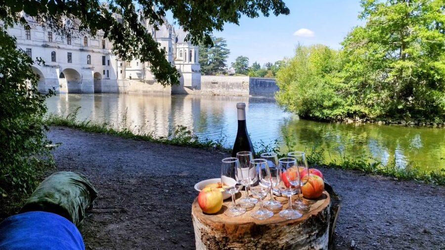 Chenonceau: E-Bike Guided Tour & Gourmet Picnic Lunch - Key highlights that make this tour click