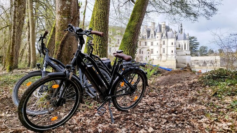 Chenonceau: E-Bike Guided Tour & Gourmet Picnic Lunch - Gourmet picnic in the forest: the view you actually remember