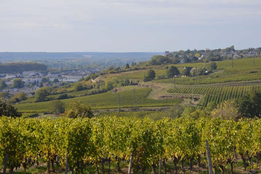 Chinon : Discovery Tours and Wine Tasting - Entering Cave Pierre et Bertrand COULY in Chinon