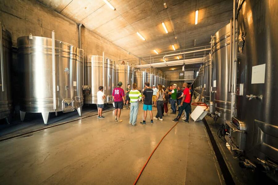 Chinon : Discovery Tours and Wine Tasting - HVE sustainable farming, explained in plain terms