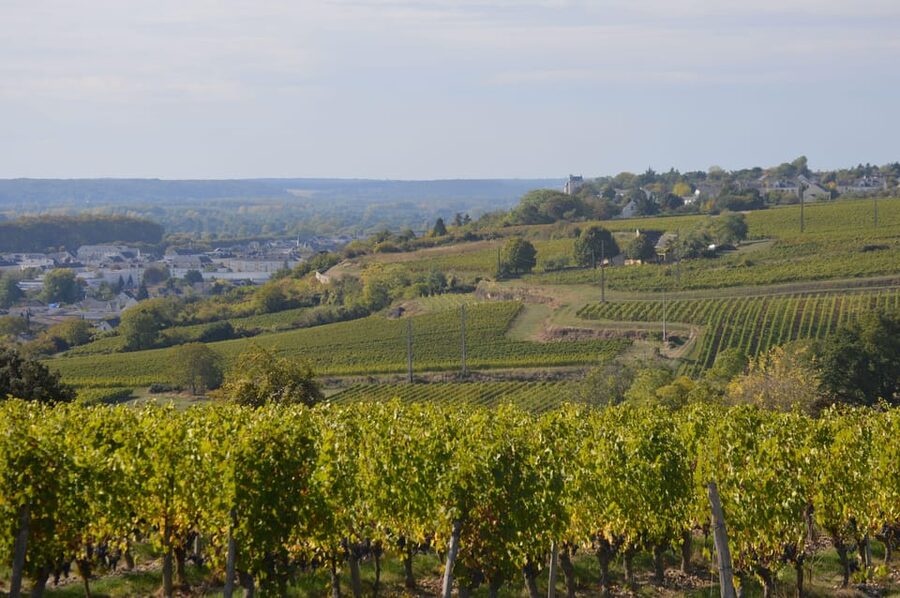 Chinon : Discovery Tours and Wine Tasting - Price and value: why $18 can make sense here