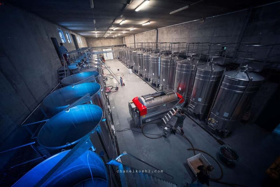 Chinon : Discovery Tours and Wine Tasting - Should you book this Chinon discovery tour?