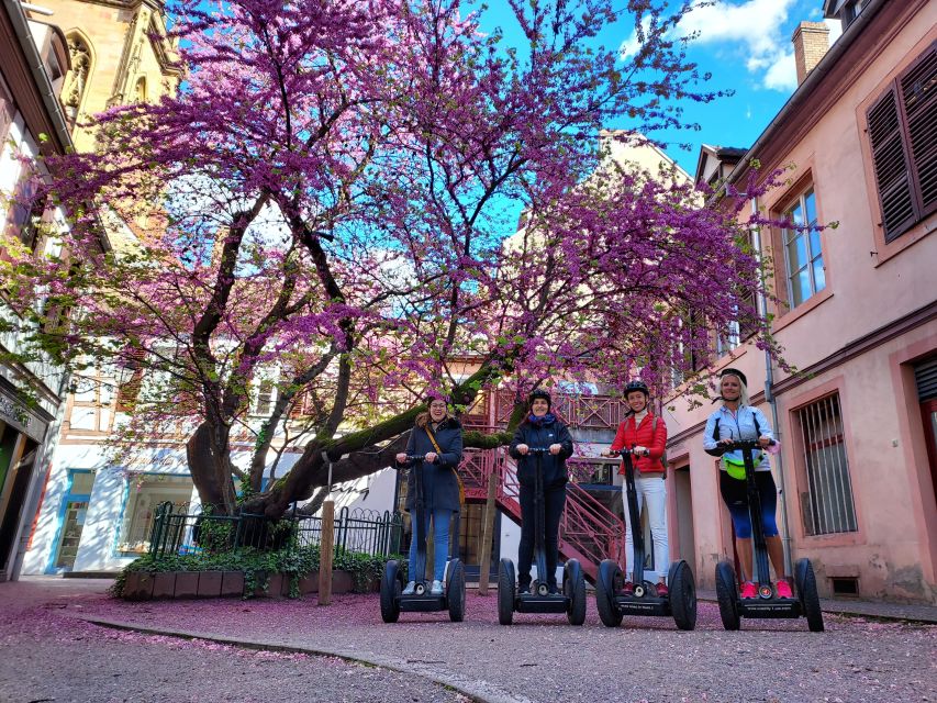 Colmar: 2-Hour Segway Tour - Quartier des Maraichers and the Old Farmers District River Glide