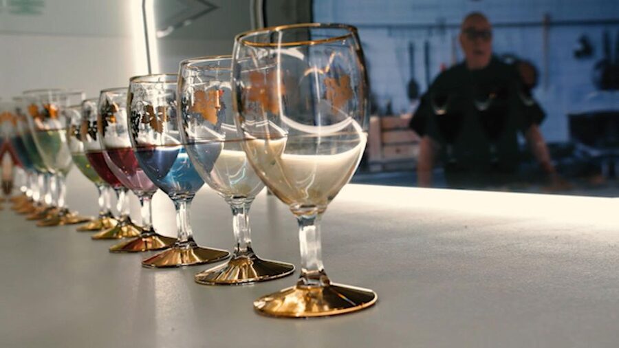 Colmar: Alsace Wine Museum Entrance Ticket - What the museum experience teaches you, vine to glass