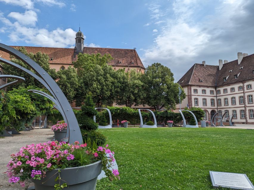 Colmar: Highlights Walking Tour and Wine Tasting - What You’ll Taste in Alsace Whites: Gewurztraminer, Riesling, Pinot Gris