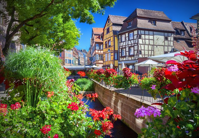 Colmar, Medieval Village & Castle Small Group from Strasbourg - The Alsace Wine Route drive: Route des Vins d’Alsace through vineyard hills