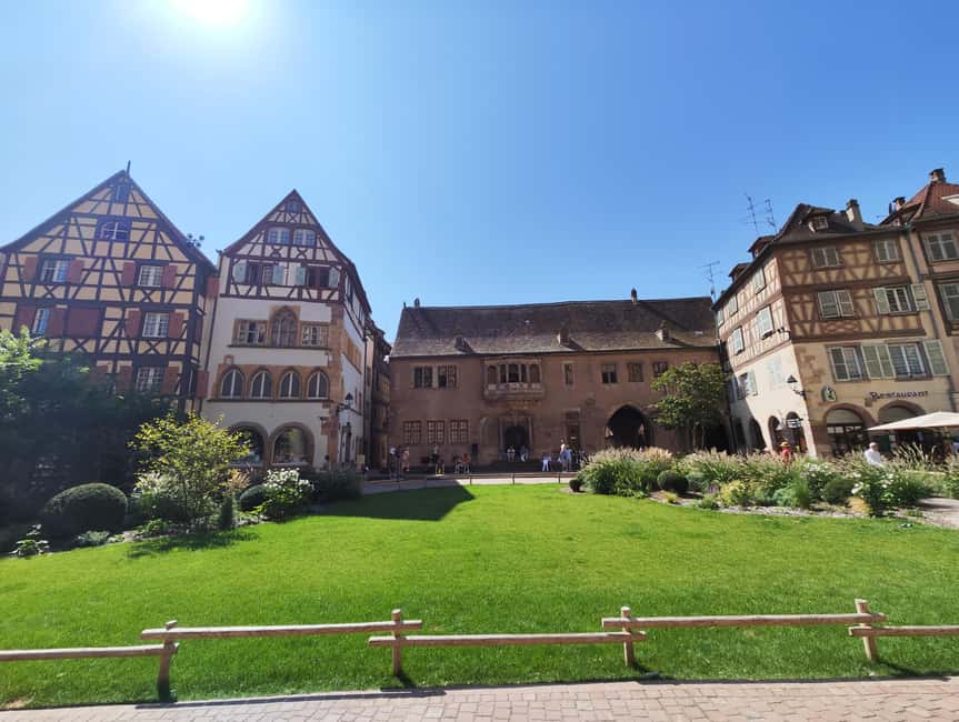 Colmar: Private Guided Walking Tour of the City Center - Collégiale Saint-Martin and its colorful tile roof