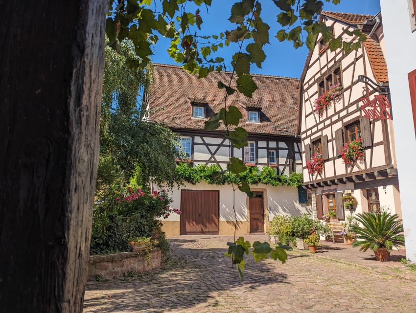 Colmar: Unusual Walking Tour with a local guide - Key points that make this Colmar walk worth it