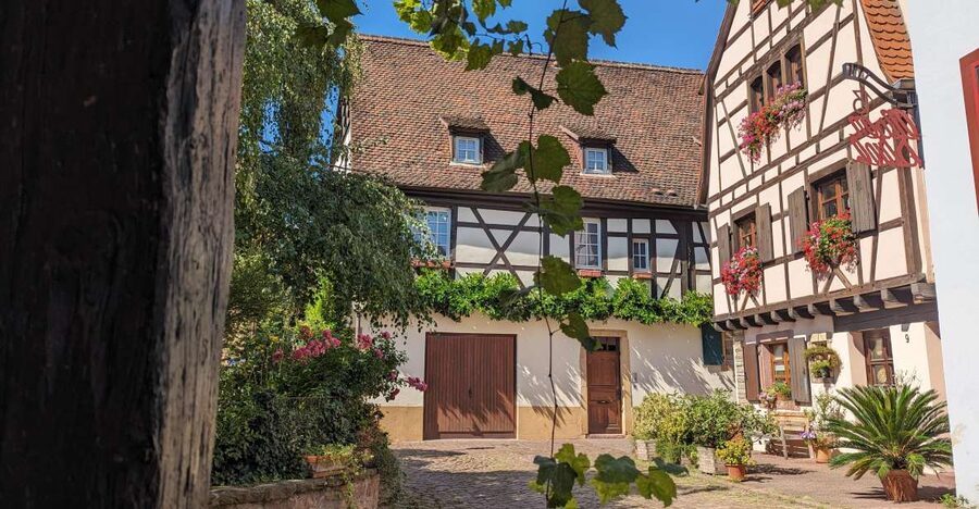 Colmar: Unusual Walking Tour with a local guide - Meeting Bruat Fountain and getting your bearings in 2 hours