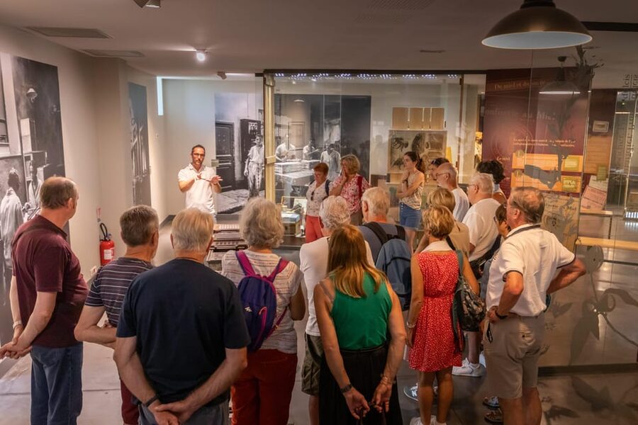 Confiserie du Roy René: gourmet guided tour of the calisson museum - Quick hits before you go
