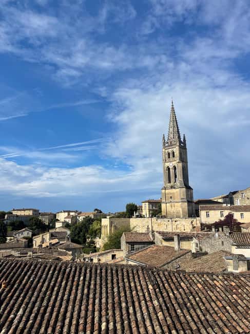 Côte de Beaune Half-Day Wine Tour from Dijon - Côte de Beaune in four hours: what you’re really buying