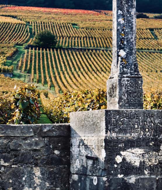 Côte de Nuits: Excursion in the heart of the vineyards - Key takeaways before you go