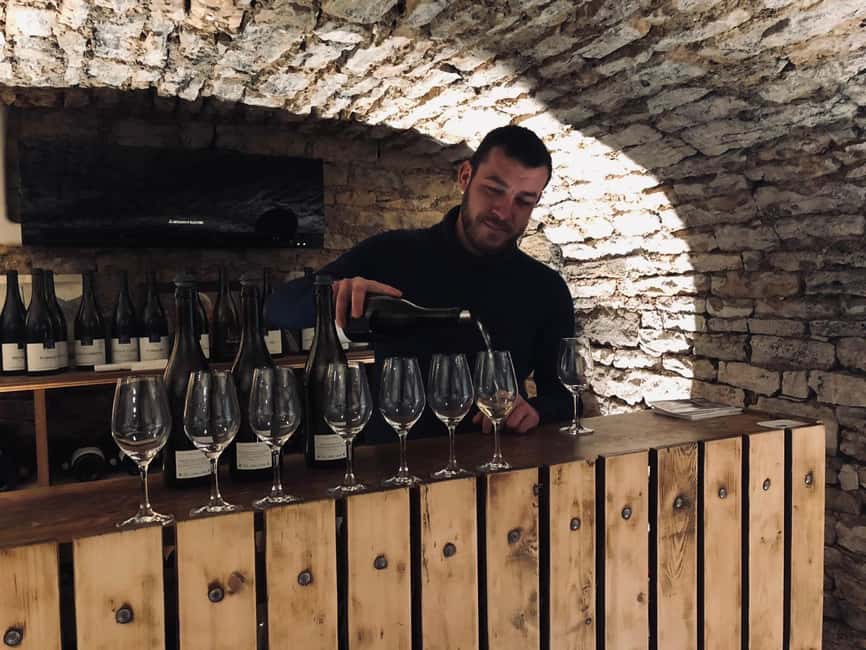 Côte de Nuits: Excursion in the heart of the vineyards - The minivan drive through Romanée Conti, Richebourg, and friends