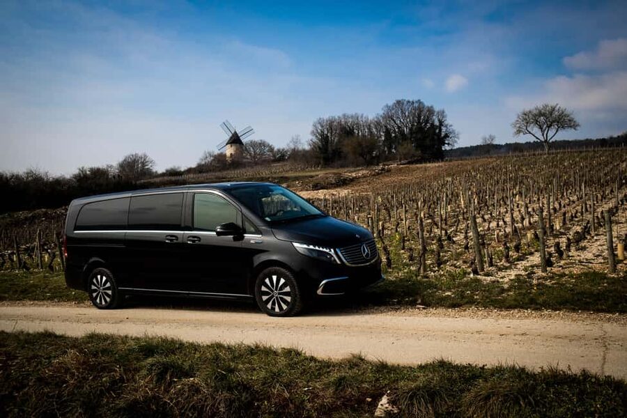 Côte de Nuits: Excursion in the heart of the vineyards - The six-wine comparison: how to taste like the tour taught you