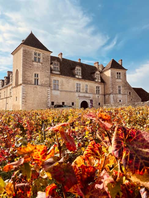 Côte de Nuits: Excursion in the heart of the vineyards - Price and value: why $57 can be a good deal for Burgundy