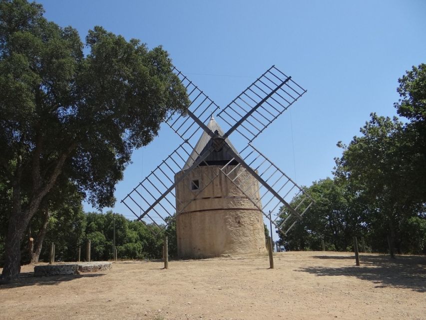 Coteaux d'Aix: Ste Victoire Wine Tour - Should you book the Coteaux dAix Ste Victoire Wine Tour?