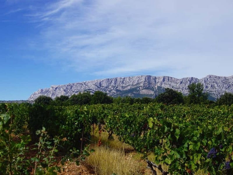 Coteaux d'Aix: Ste Victoire Wine Tour - Ste Victoire and Cézanne: what you’ll learn, and what you should verify