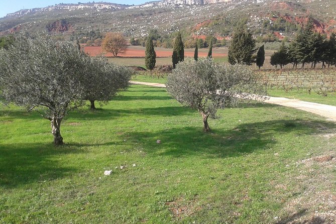 Cotes de Provence Wine Tour from Aix-en-Provence - Key Highlights Worth Your Time