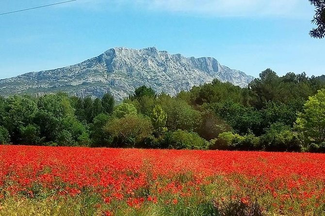 Cotes de Provence Wine Tour from Aix-en-Provence - Getting From Aix to the Vineyards Without Driving Yourself