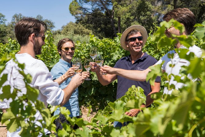 Cotes de Provence Wine Tour from Aix-en-Provence - The Sainte-Victoire Drive, Cézanne-Era Stories, and the Best Photo Stop