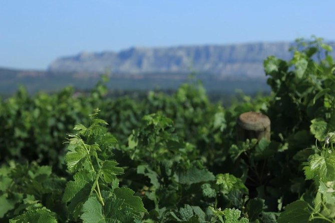 Cotes de Provence Wine Tour from Aix-en-Provence - Stop One: Mas de Cadenet (or a Swap When Availability Changes)