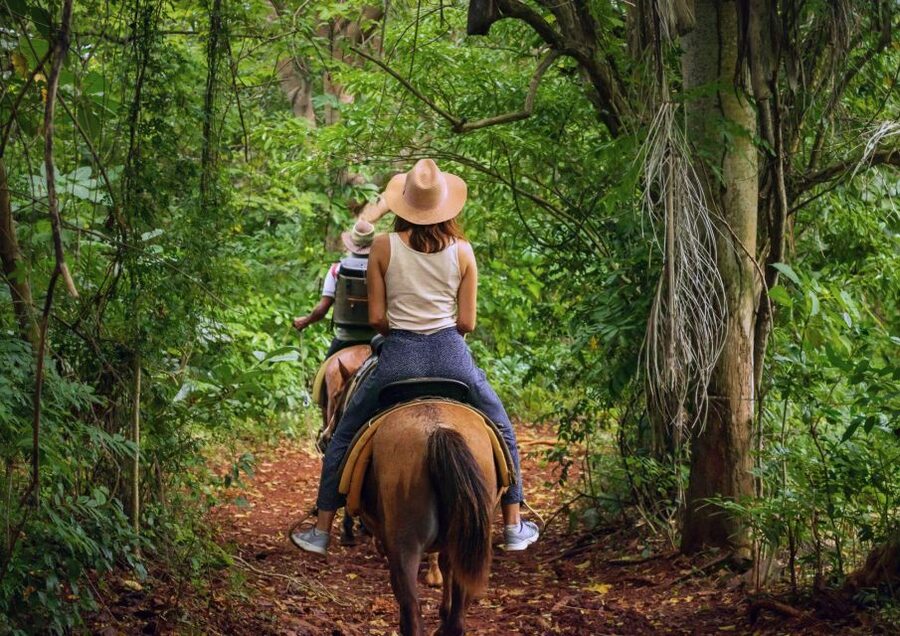 Cruseilles: Horseback Riding in the Countryside - Where Cruseilles Riding Fits in the Savoy Countryside