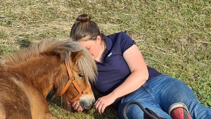 Cruseilles: Horseback Riding in the Countryside - The Ride Itself: Savoy Trails, Pastures, and Nature Reserve Stops