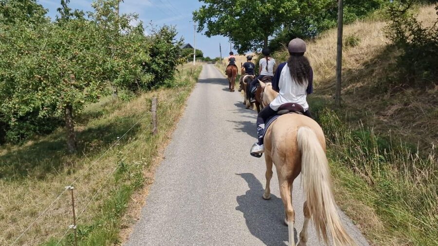 Cruseilles: Horseback Riding in the Countryside - Pacing, Trotting, and Comfort for Different Experience Levels