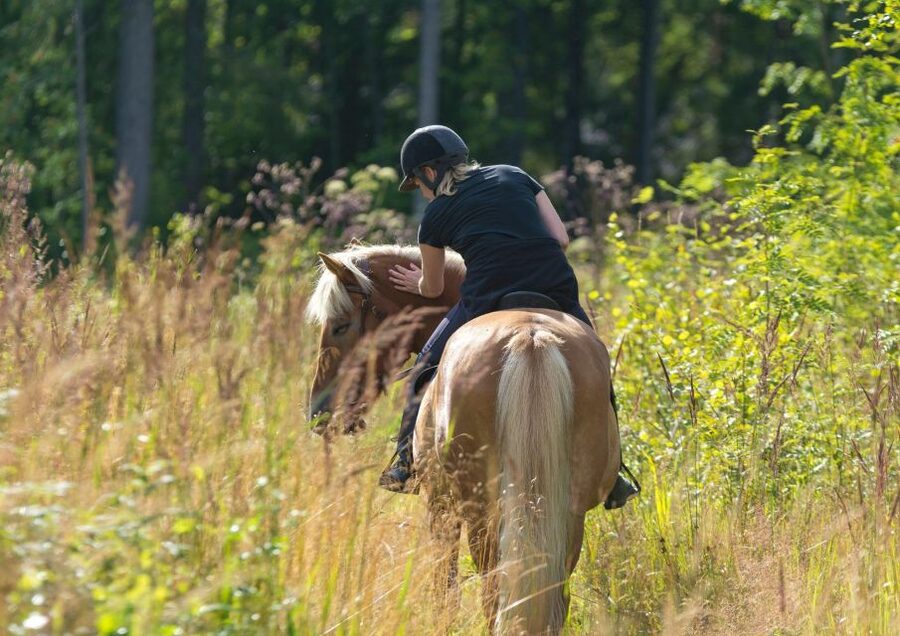 Cruseilles: Horseback Riding in the Countryside - Price and Value: Is $46 for One Hour Worth It?