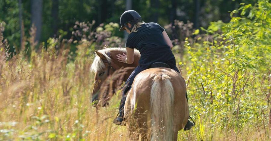 Cruseilles: Horseback Riding in the Countryside - Practical Tips That Make the Ride Easier