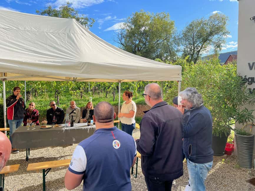 Dare to Alsace Wine with a Feminine Touch - Key highlights worth your time