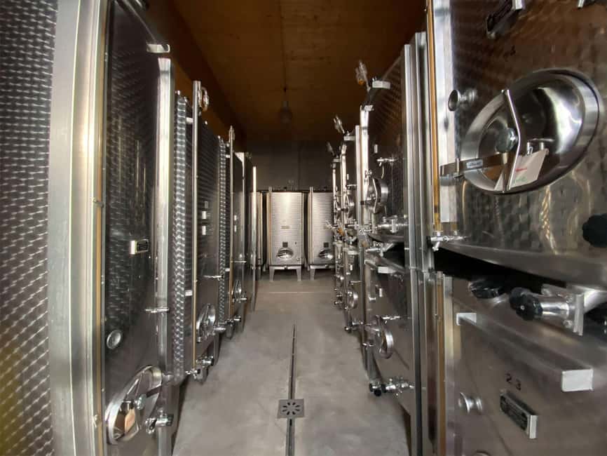 Dare to Alsace Wine with a Feminine Touch - Organic Alsace Wine: What You Actually Learn Here