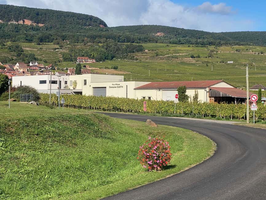 Dare to Alsace Wine with a Feminine Touch - Cellar Time at Domaine Gueth, Where the Tools Meet the Story