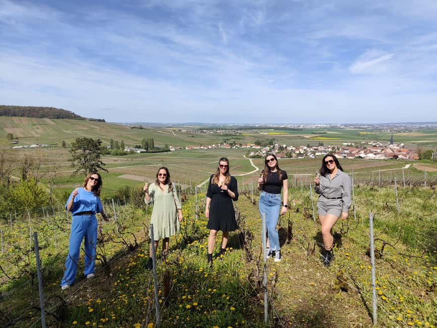 Dégustation de champagne balade panoramique dans les vignes - Key highlights at a glance