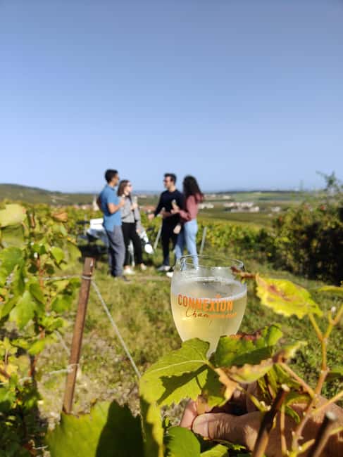 Dégustation de champagne balade panoramique dans les vignes - Where the tour starts behind Reims Cathedral