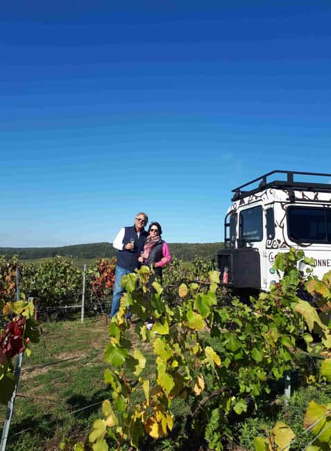 Dégustation de champagne balade panoramique dans les vignes - The tasting in the hills, brut tradition first