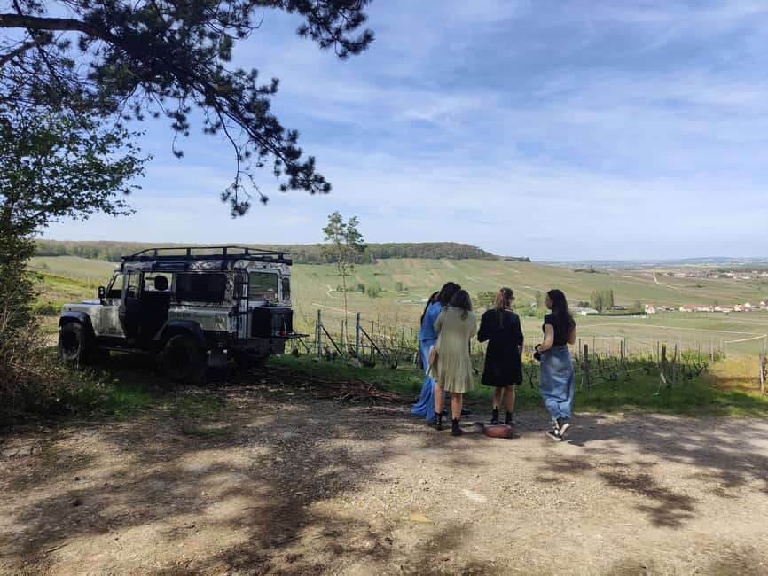 Dégustation de champagne balade panoramique dans les vignes - What to bring for a smooth day