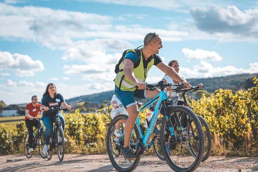 Dijon: Bike tour and Tastings in the Vineyards of Burgundy - Key moments that make this tour worth your time