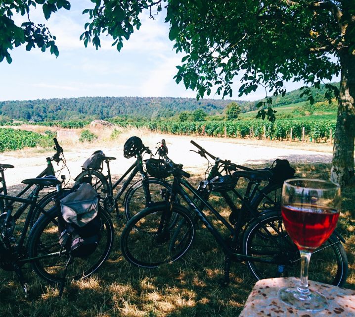 Dijon: Bike tour and Tastings in the Vineyards of Burgundy - The 3-hour structure that keeps you from feeling rushed