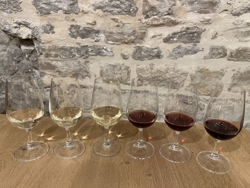 Dijon: Cheese and Burgundy Wine Tasting Workshop - What happens during the 45-minute tasting, step by step