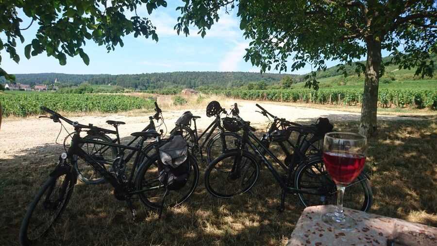 Dijon: Half-Day Guided Gourmet Bike Tour - Key moments to look for